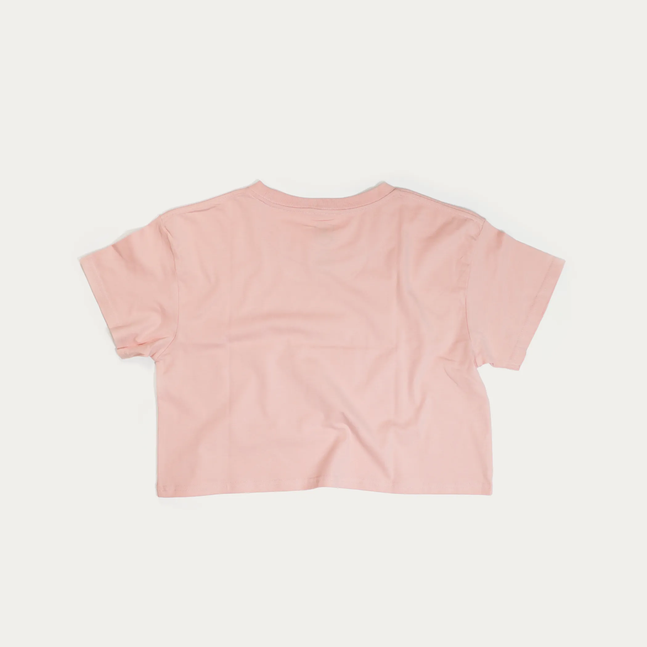 Women's Summer Gradient Crop Tee